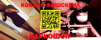 крисы Кингисепп