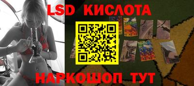 крисы Кингисепп