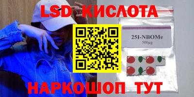 крисы Кингисепп