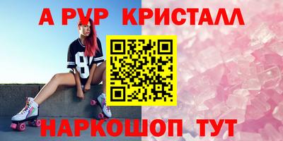 крисы Кингисепп