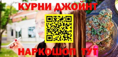 крисы Кингисепп
