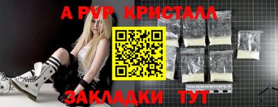 крисы Кингисепп