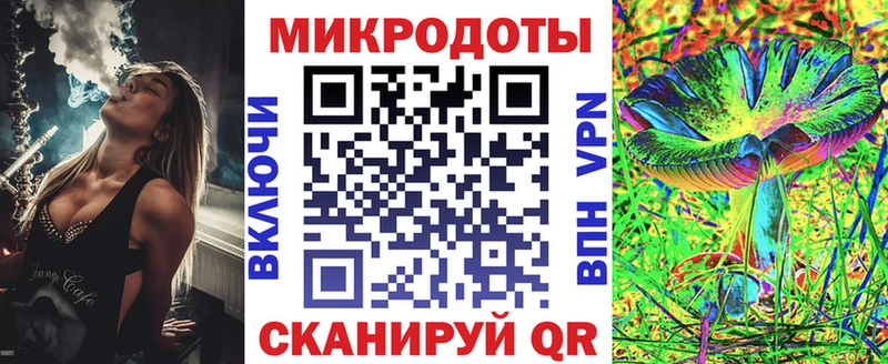 OMG   Лесозаводск  Псилоцибиновые грибы Psilocybine cubensis 