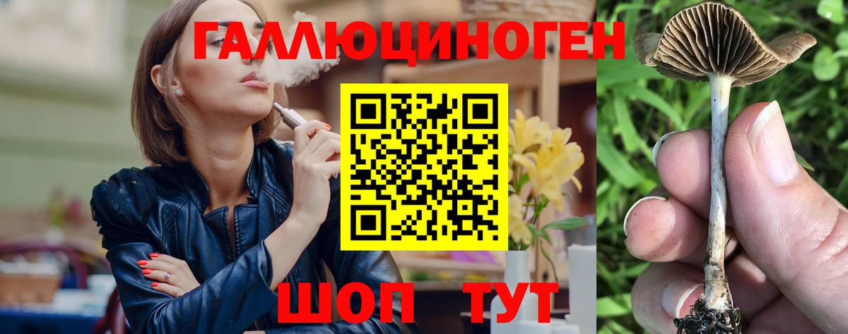 Галлюциногенные грибы GOLDEN TEACHER  Вход с VPN  сколько стоит  Лесозаводск 